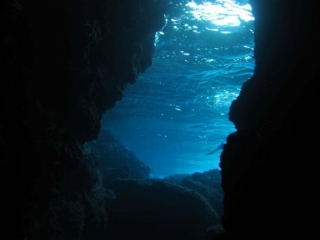  El fondo marino de Ustica 